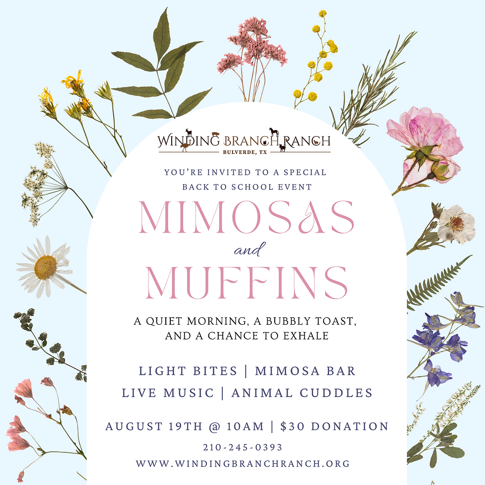 Mimosas and Muffins