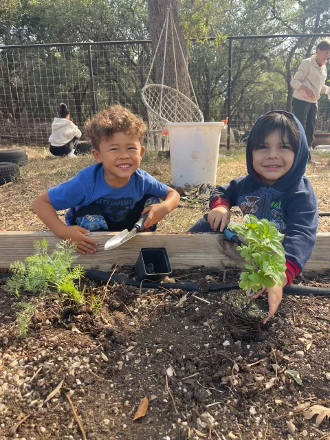 Garden and Chicken Coop Cleanup Day