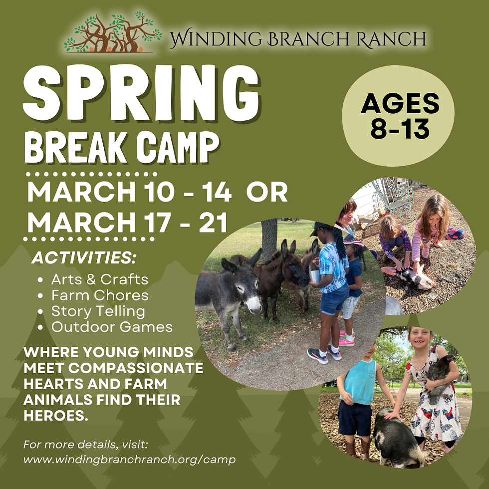 Spring Break Camp is right around the corner