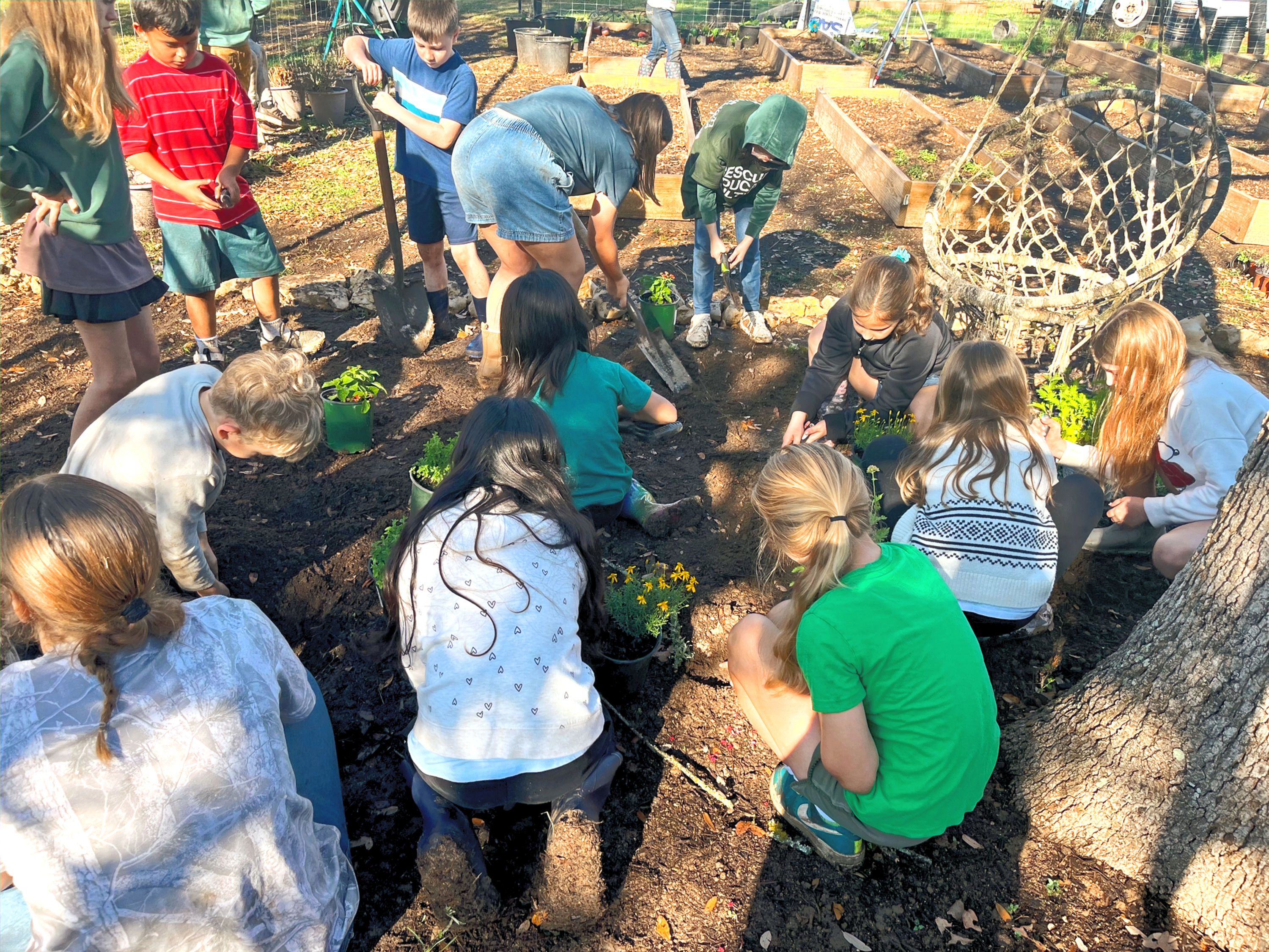 Cultivate (April 14-May 19)