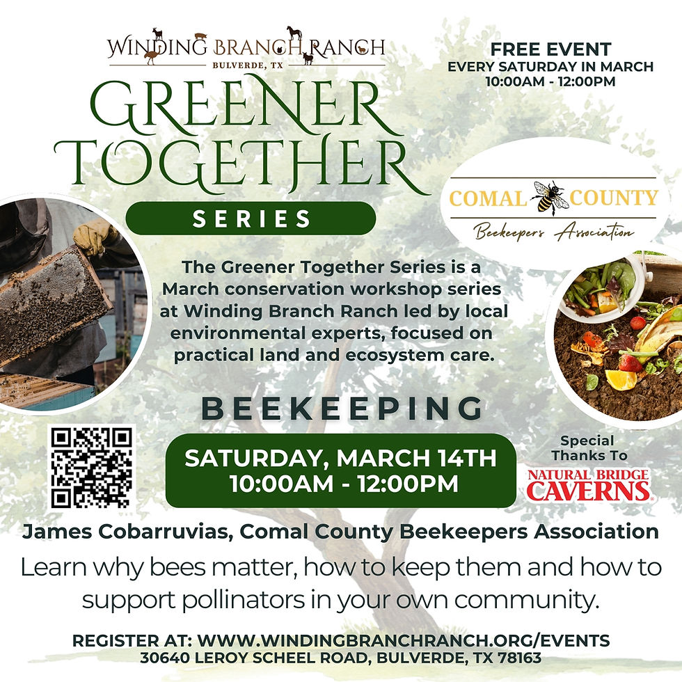 Beekeeping with James Cobarruvias, Comal County Beekeepers Association