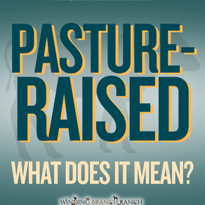 Pasture-Raised: What It Really Means on Food Labels