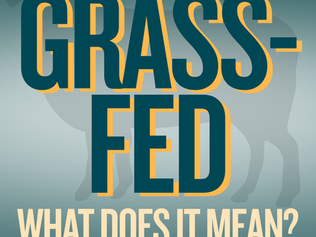 Grass-Fed: What It Really Means on Food Labels