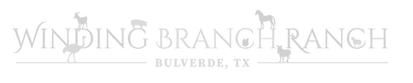 thumbnail_Option-2_edited.png