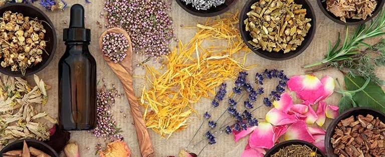 Herbs.png