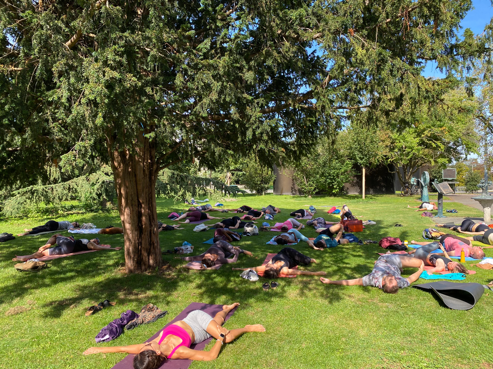 Cours de yoga vinyasa en plein air dans un parc de Lausanne
