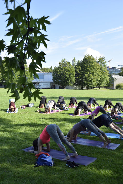 weekend de stage de yoga dans un parc de lausanne