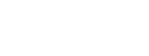 fenton village logo long-1.png