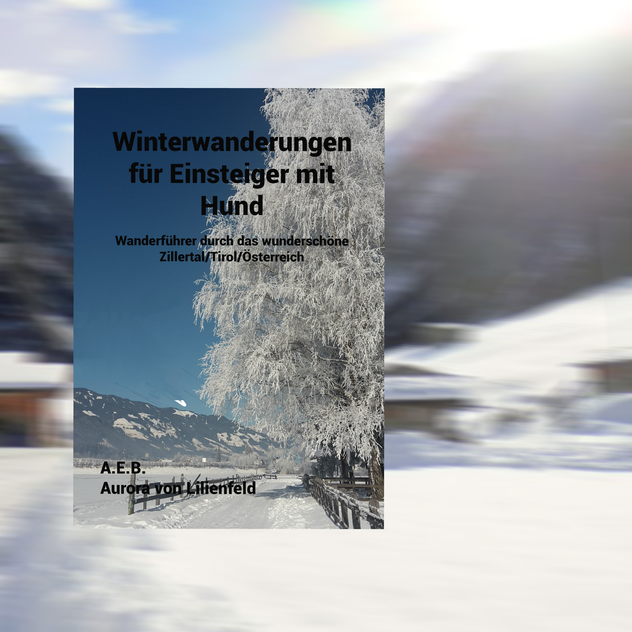 Winterwanderungen für Einsteiger mit Hund/Buchreihe Winterwanderungen - Ebook