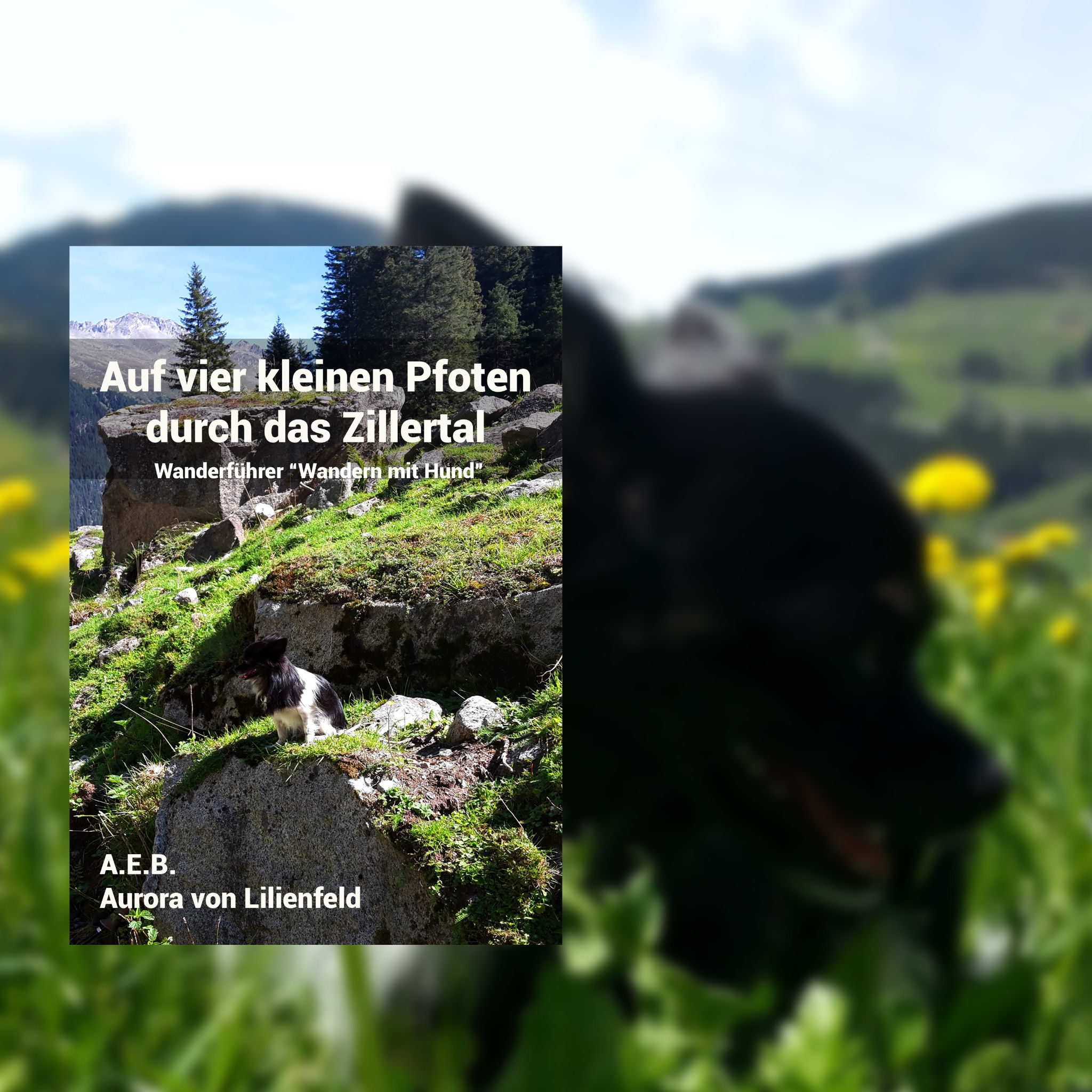 Auf vier kleinen Pfoten durch das Zillertal/Wanderführer Wandern mit Hund-E-Book