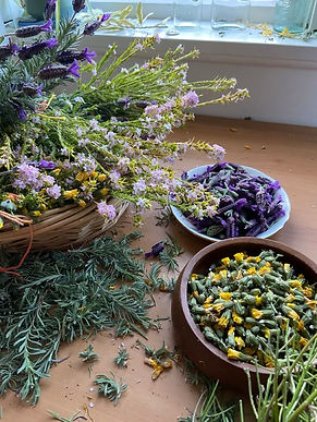 dryingflowers.jpg