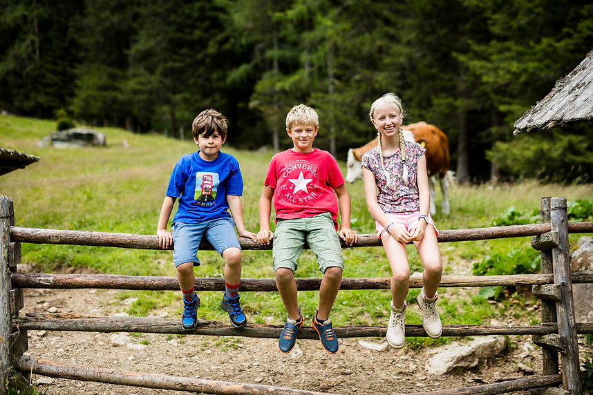 Drei Kinder sitzen auf einem Zaun vor einer Kuh auf einer Weide