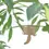 Thumbnail: Plant Animal