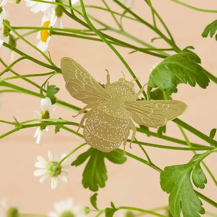 Plant Animal
