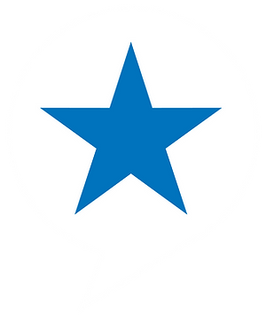 TEXASPOLLINGICON.png