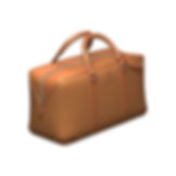 Sac de voyage cuir