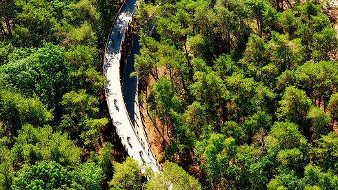 Infrastructure-project-Cycling-Through-T