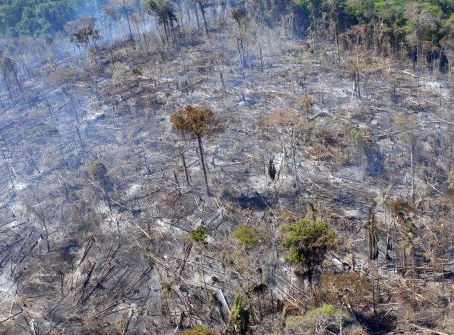 Orçamento do Meio Ambiente é o menor do século