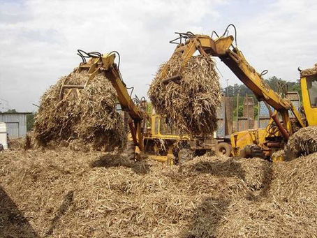 Bagaço de cana pode substituir cimento para a fabricação de tijolos baratos e ecologicamente sustent