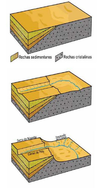 ree