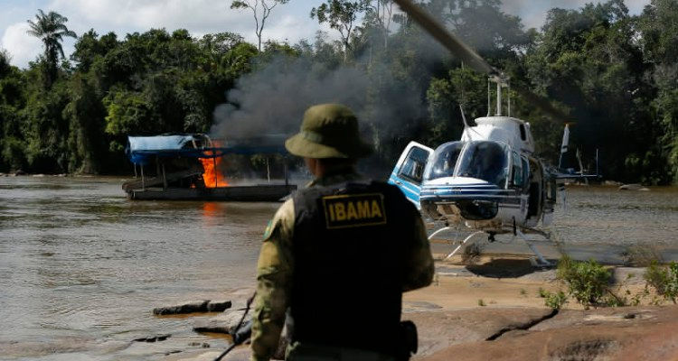 Foto: Ação do IBAMA (crédito: IBAMA)