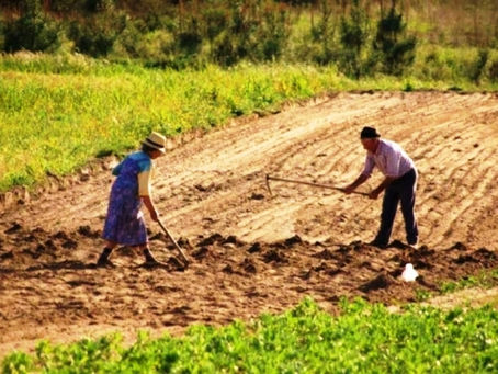 A violência no campo não respeita quarentena