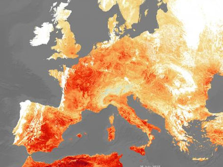 Ondas de calor podem aumentar substancialmente até meados do século, diz novo estudo.