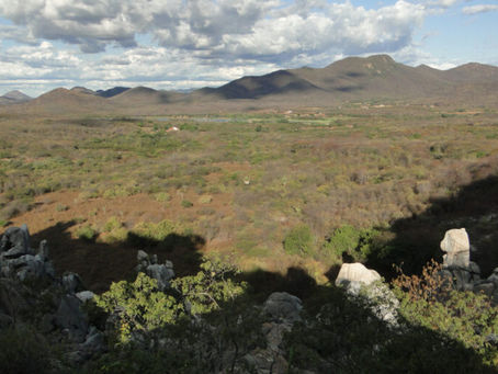 MapBiomas aponta fatores que aumentam o risco de desertificação da Caatinga
