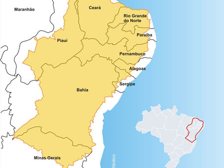 O ainda desconhecido Semiárido brasileiro, artigo de Flávio José Rocha da Silva
