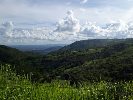 A formação da paisagem do nordeste brasileiro