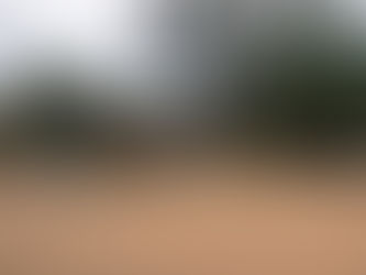 Comunidade Quilombola de Castanhinho, Pernambuco, recebem visita de Secretário dos Direitos Humanos