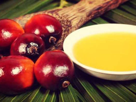 Biocombustíveis – Impactos do óleo de palma (dendê) sobre a biodiversidade neotropical