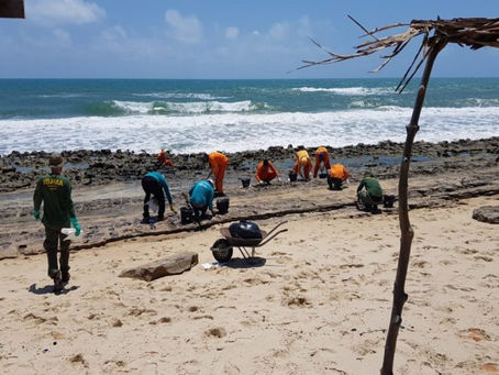 Autoridades reúnem esforços para conter petróleo cru que atinge as praias do Nordeste