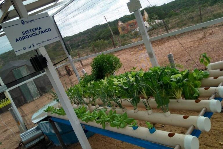 Tecnologia reúne segurança hídrica, produção de alimentos e geração de energia no NE