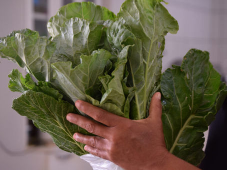 Agricultura Familiar contribui para conservação e alimentação no Nordeste