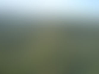Manejo sustentável das florestas permite sua conservação, garantindo o combate às mudanças climática