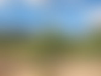 Caatinga está dentro de Projeto de Sustentabilidade que receberá até US$ 32,6 milhões