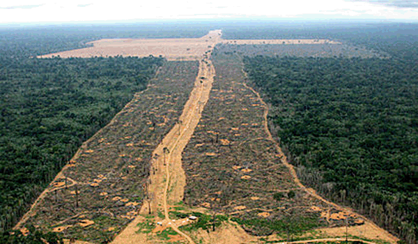 Imagem: Desmatamento na Amazônia (Internet)
