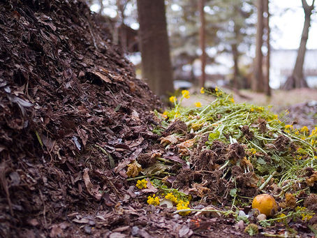 Ministério do Meio Ambiente lança cartilha sobre compostagem do lixo