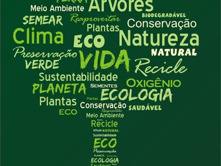 Países aprovam regras para concretizar acordo climático