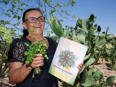 Agricultoras do Semiárido adotam cadernetas agroecológicas e valorização do trabalho da mulher rural