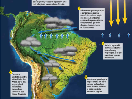 A devastação da Amazônia e a seca no sul e no sudeste, artigo de Roberto Malvezzi (Gogó)