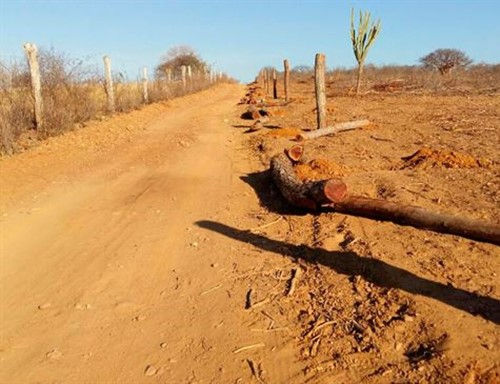 Foto: Áreas de desmatamento da caatinga (crédito: divulgação Ibama)