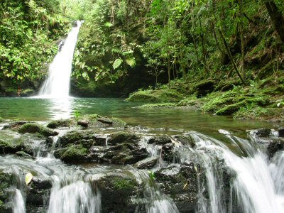 São criadas duas reservas de proteção particular no Nordeste