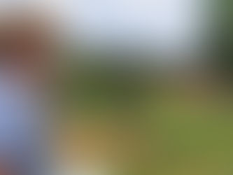 Agricultura orgânica reúne todos os elementos da produção sustentável