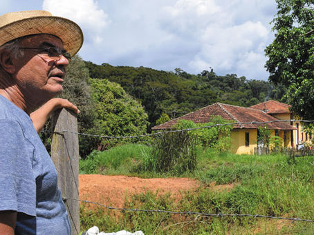 Agricultura orgânica reúne todos os elementos da produção sustentável