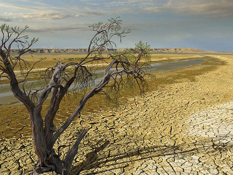 A mudança climática afeta a diversidade genética de uma espécie