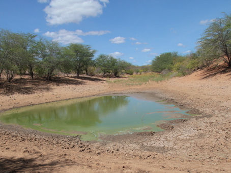 Será realizado em Arco Verde, sertão de Pernambuco, seminário voltado para educação ambiental