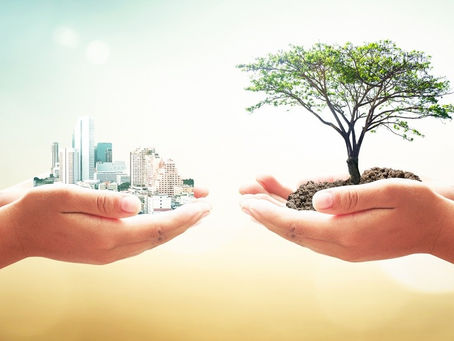 Chega ao Brasil projeto global de educação ambiental do WWF que disponibiliza material gratuito
