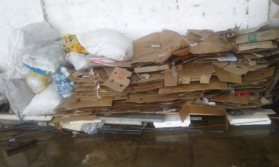 Foto: Lixo separado para reciclagem (crédito: cedida por Ângela)